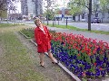 t�rskeres� - Zs�ka04