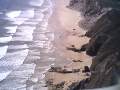 t�rskeres� - 