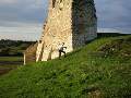 t�rskeres� - 