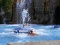 t�rskeres� - 