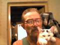 t�rskeres� - 