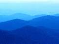 t�rskeres� - 