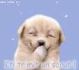 t�rskeres� - 