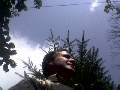 t�rskeres� - 