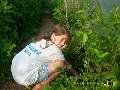 t�rskeres� - 