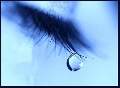 t�rskeres� - 