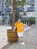 t�rskeres� - 