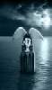 t�rskeres� - 