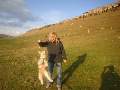 t�rskeres� - 