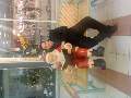 t�rskeres� - 