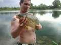 t�rskeres� - 