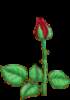 t�rskeres� - 