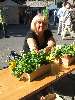 t�rskeres� - 