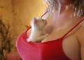 t�rskeres� - 