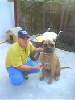 t�rskeres� - 