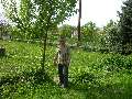 t�rskeres� - 