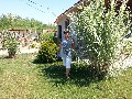 t�rskeres� - 