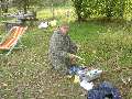 t�rskeres� - 