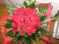 t�rskeres� - 