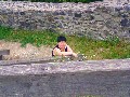 t�rskeres� - 