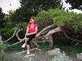 t�rskeres� - 