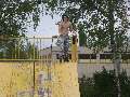 t�rskeres� - 