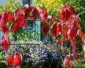 t�rskeres� - 