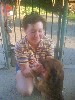 t�rskeres� - 