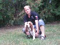 t�rskeres� - 