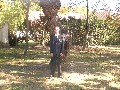 t�rskeres� - 