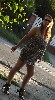 t�rskeres� - 