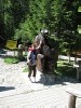 t�rskeres� - 