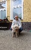 t�rskeres� - 