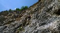t�rskeres� - 