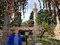 t�rskeres� - 